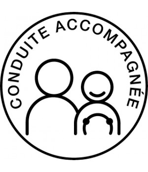 Disque conduite accompagnée adhésif