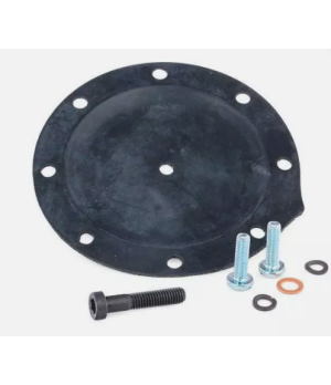 Kit réparation pompe à vide Xantia 106 205 309 R21 15860743